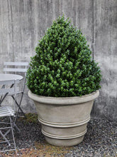 Photo of Campania Classic Rolled Rim - GFRC - Exclusively Campania